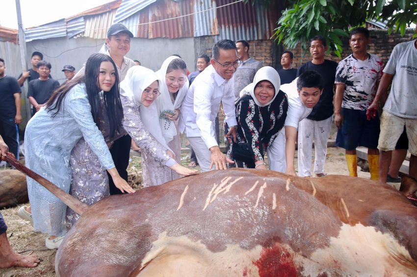 Wakil Walikota Medan Serahkan 4 Hewan Kurban