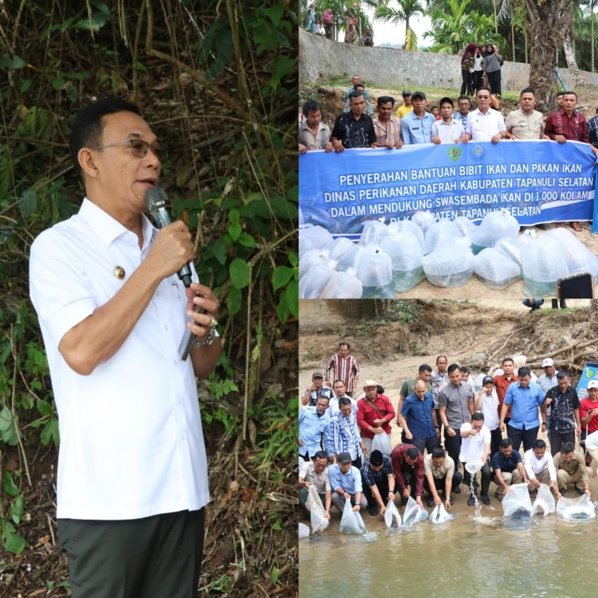 Bupati Tapsel Genjot Program Swasembada Ikan Lewat Seribu Kolam, Gus Irawan : Saya Tunggu Enam Bulan