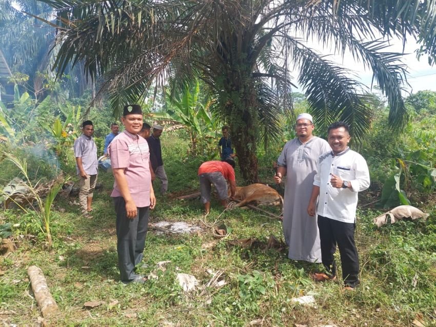 Pemuda KNPI Padang Lawas Tunjukkan Aksi Nyata di Idul Adha Lewat Program “Pemuda Berkurban”