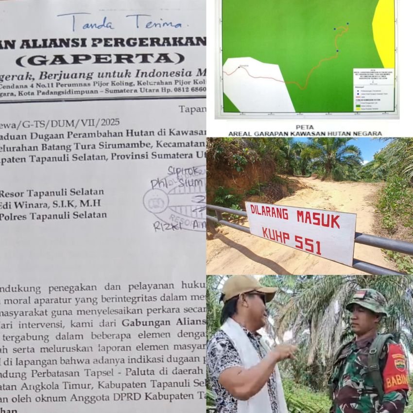 Gawat,! Kader Gus Irawan Pasaribu di Laporkan GAPERTA ke Polres Tapsel,Diduga Rambah Hutan Lindung,Jual Nama Prabowo dan Intimidasi Babinsa