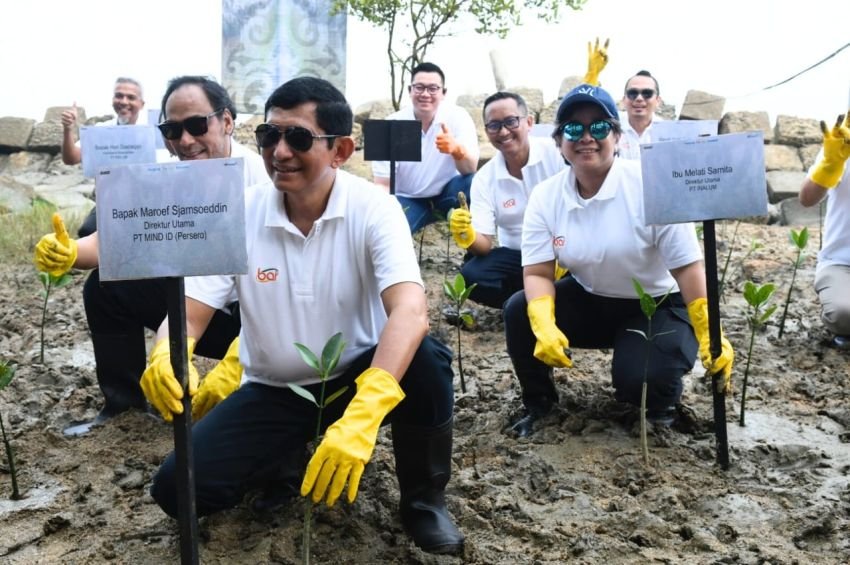 Kolaborasi MIND ID dan Grup Hijaukan Pesisir Dengan Mangrove