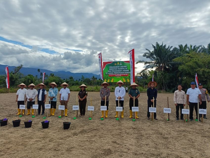 Polres Palas Tanam Jagung serentak Kuartal III Di Lahan Perhutanan Sosial
