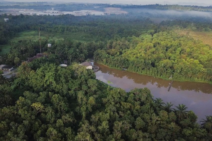 KPH XV Tegaskan Komitmen Lindungi Hutan Lindung Lae Pondom: Satu Pelaku Perambahan Ditangkap, Polisi Kembangkan Kasus