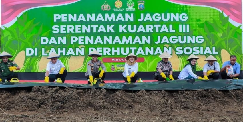 Polda Sumut Tanam Jagung Serentak, Targetkan 24 Ribu Ton Demi Swasembada Pangan 2025