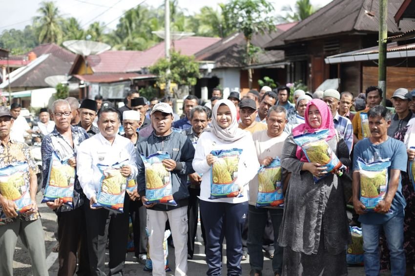 Atika Nasution Salurkan 23 Ton Bibit Padi untuk 162 Kelompok Tani di Kotanopan Madina