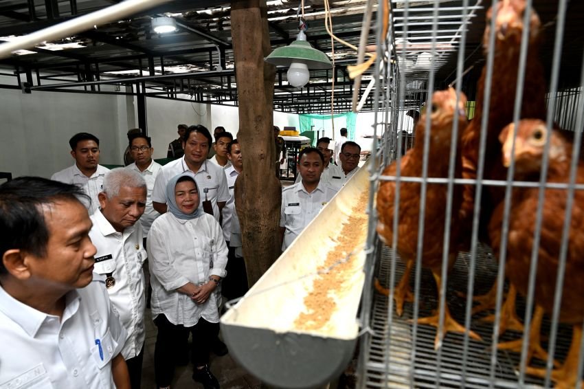Sumut Punya Potensi Baru Objek Retribusi Daerah Melalui Pemanfaatan Kawasan Hutan
