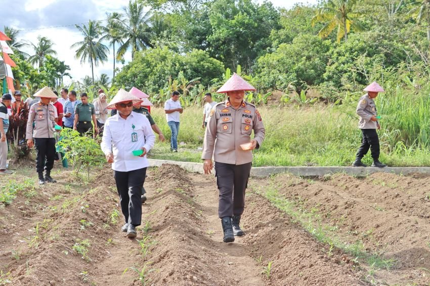 Polres Padangsidimpuan Tanam Jagung Serentak Kuartal III, Wakili Komitmen Ketahanan Pangan Nasional