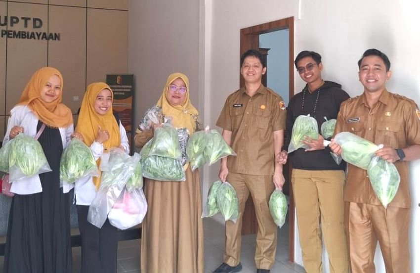 Dinas Pangan Kota Solok Gencarkan Budidaya Hidroponik