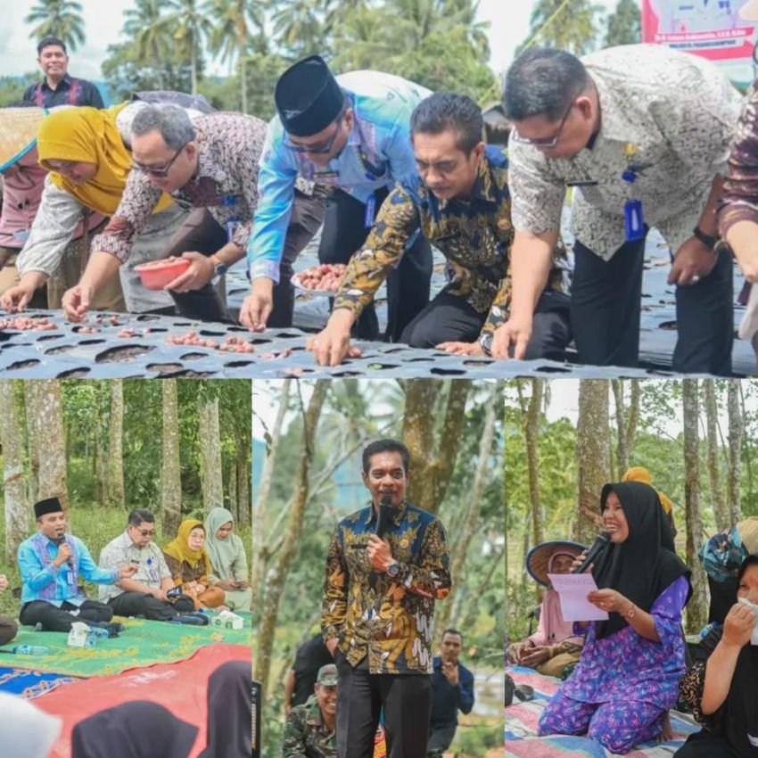 Support Swasembada Pangan, Letnan Dalimunthe bersama Rombongan disambut Kelompok Tani Tanam Perdana Bawang Merah di Bonan Dolok Padangsidimpuan