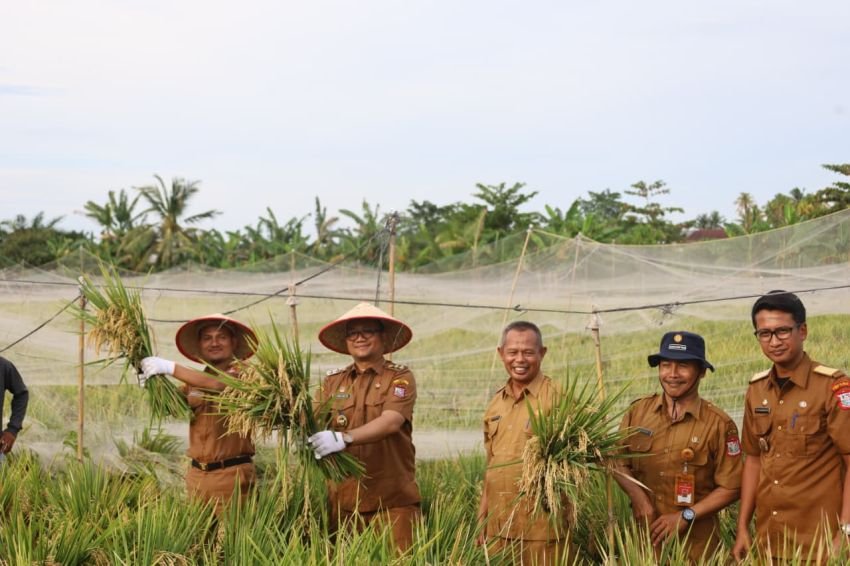 Wali Kota Tanjungbalai: Ada Hambatan Penjualan Kita Bantu Distribusikan