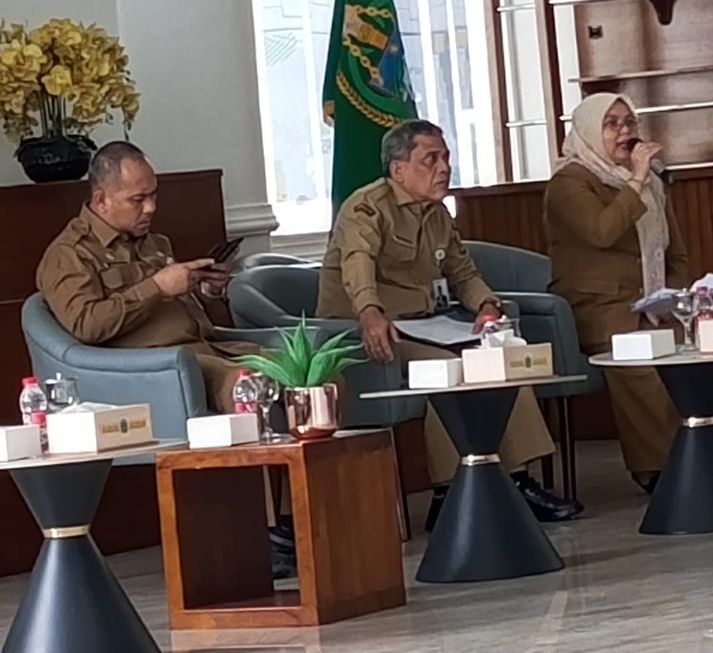 Mampukah Pemprov Sumut Tuntaskan 900 Kilometer Jalan Rusak Hingga 2029 ?