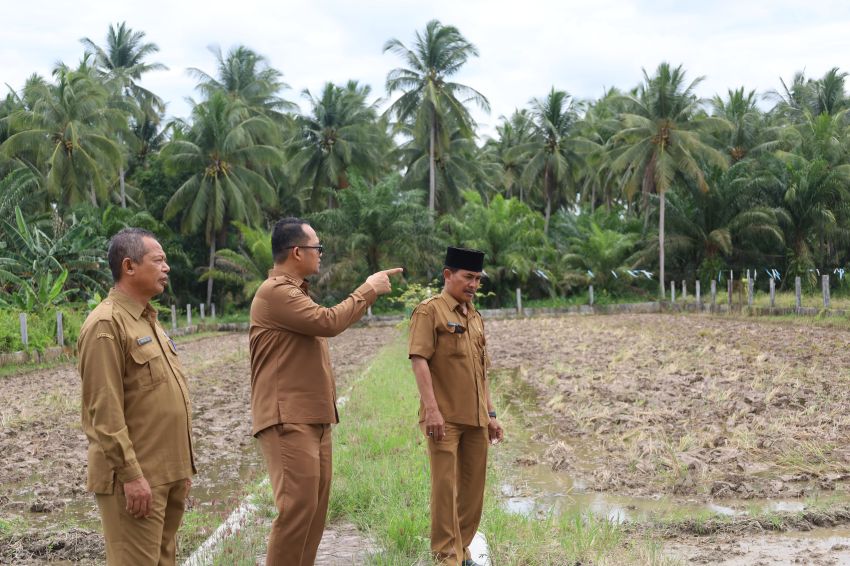 Ditinjau Wakil Wali Kota, Dinas Pertanian dan Pangan Tanjungbalai Lakukan Optimalisasi Lahan