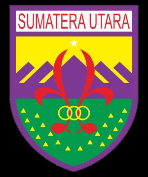 Dikki Panjaitan Diminta Waspada Terhadap Intervensi Oknum di Kwarda Sumut