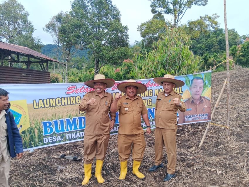 BUMDesa Desa Tinada Melaksanakan Penanaman Jagung