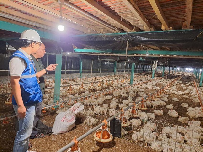 Utamakan Daya Beli Masyarakat, Pemerintah Jaga Tarif Listrik Tetap Terjangkau Sepanjang 2025