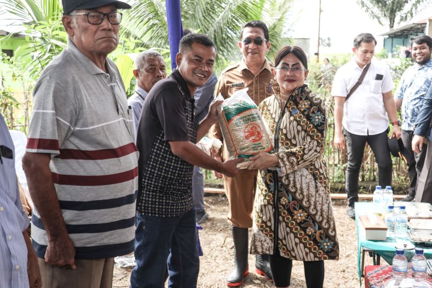 Wali Kota diwakili Asisten Perekonomian dan Kesejahteraan Rakyat panen padi di persawahan Kelompok Tani (Poktan) Damai Sejahtera