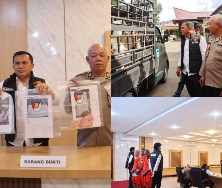 Satreskrim Polres Padangsidimpuan Ungkap Kasus Penipuan Jual Beli Sapi, Tiga Pelaku Ditangkap