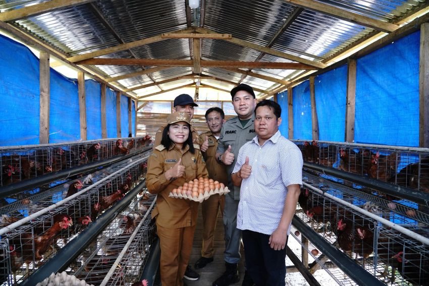 Peternak Ayam Petelur Bumdes Desa Salak II Kecamatan Salak Mulai Mengeluarkan Hasil