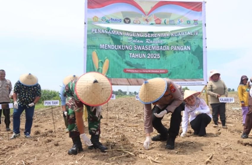 Polresta Deli Serdang gelar Kegiatan Penanaman Jagung Serentak Kuartal IV Guna Tingkatkan Swasembada Pangan