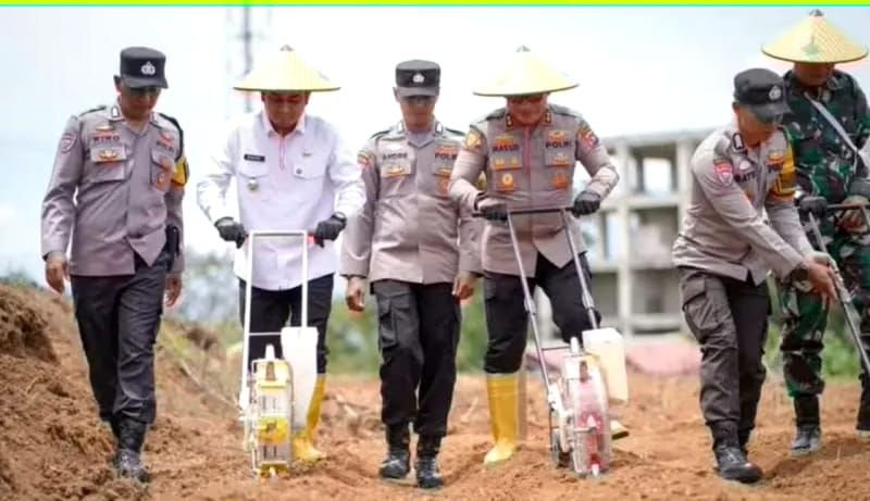 Kota Solok, Terpilih Sebagai Daerah Tempat Penanaman Jagung