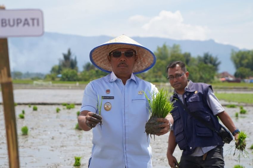 Wabup Toba Audi Murphy Harapkan Penyuluh Pertanian Serius Beri Perhatian