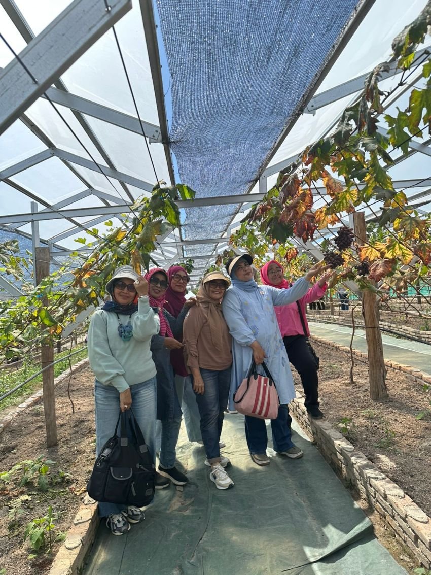 Jelang Hari Ibu,IKWI PWI Sumut Berwisata Nikmati Destinasi Kebun Anggur di Karo