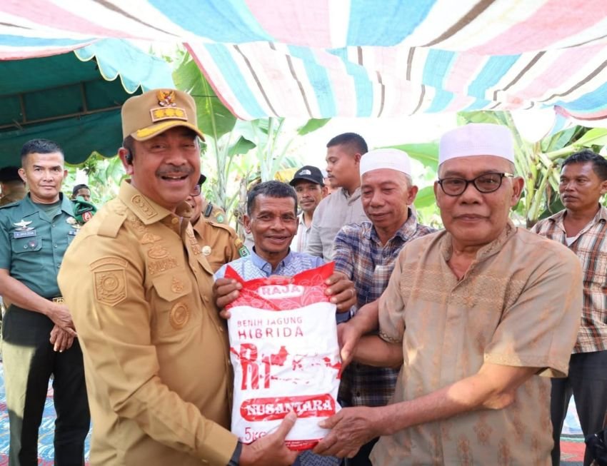 Pemkab Madina Dorong Swasembada Pangan Lewat Penyaluran 24,75 Ton Bibit Jagung Hibrida
