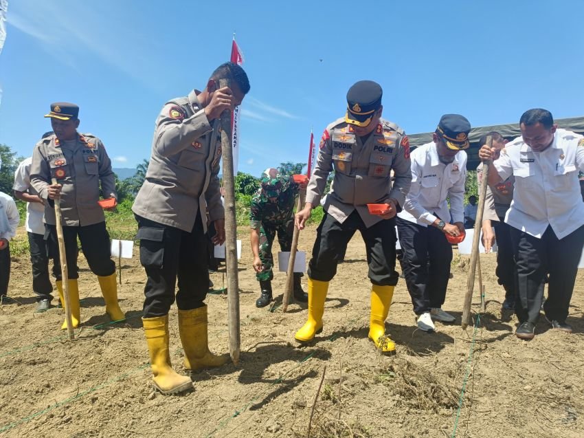 Kapolres Palas AKBP Dodik Yuliyanto Gerakkan Penanaman Jagung Serentak Demi Ketahanan Pangan Nasional