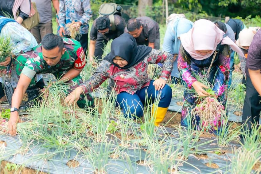 Atika Nasution Ajak Masyarakat Manfaatkan Pekarangan untuk Tanam Sayur di Madina