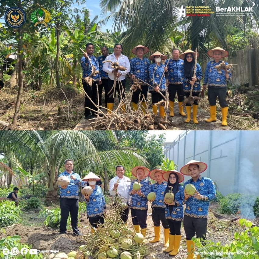 Ketahanan Pangan Terus Berlanjut, LAPAS Binjai Kembali Panen Ubi dan Kelapa