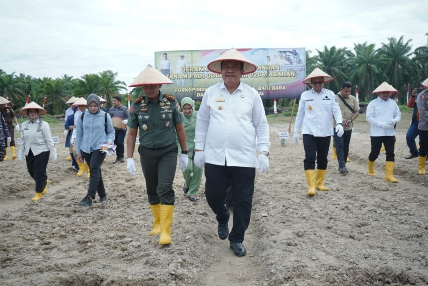 Forkopimda Asahan Bersatu Dukung Gerakan Tanam Padi Gogo Kodim 0208/Asahan
