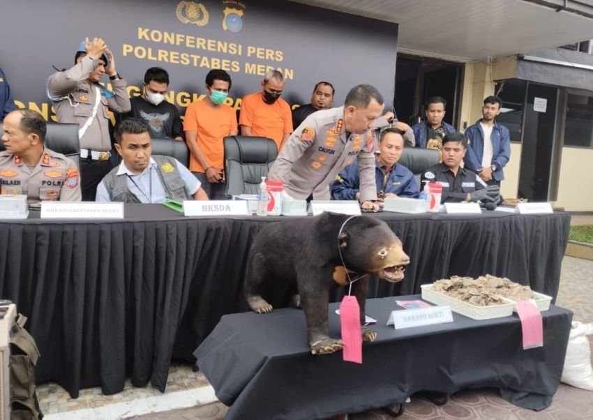 Polrestabes Ungkap Penjualan Beruang Madu dan Sisik Trenggiling