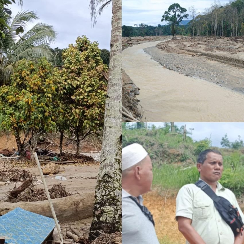 Banjir, Longsor, dan Kebun Mati: Aliran Sungai Sibio-bio Diduga Tercemar, Aktivitas Tambang PT Agincourt Resources Disorot