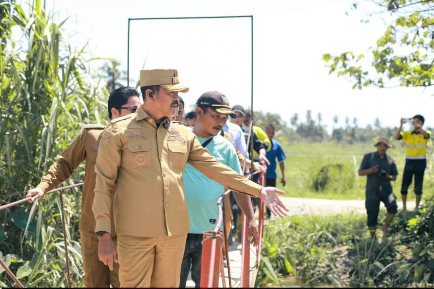 Pemkab Madina Turunkan Alat Berat, Normalisasi Aek Sibontar Demi Selamatkan 550 Hektare Sawah Warga Siabu
