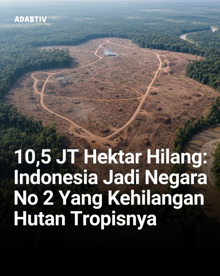 WALHI Sumut Ungkap Tujuh Perusahaan Diduga Jadi Pemicu Bencana Ekologis Tapanuli