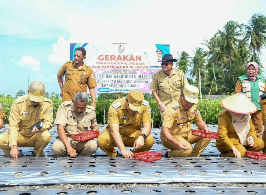 Gerakan Tanam Bawang Merah,    Pemkab Gelorakan Semangat Petani Optimalkan Potensi Lahan