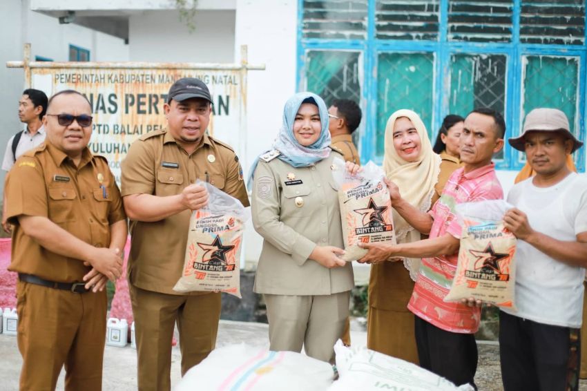 Dorong Ketahanan Pangan, Atika Nasution Bagikan Benih Pertanian ke 61 Poktan Madina