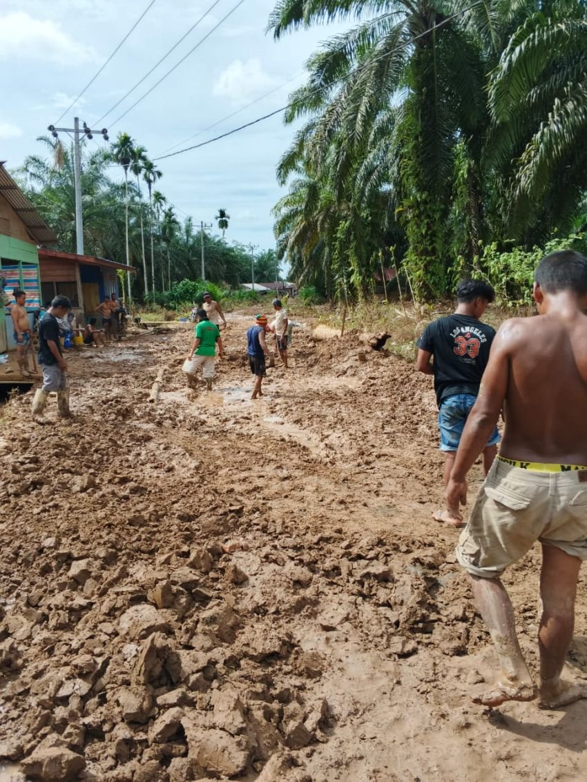 Bantuan Minim, Warga Simataniari Tapsel Terpaksa Bertahan Hidup dengan Ubi dan Jagung
