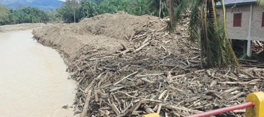 Bukan dari PT TBS? Banjir Bandang Aek Garoga Mengarah ke Hulu Konsesi PT AR