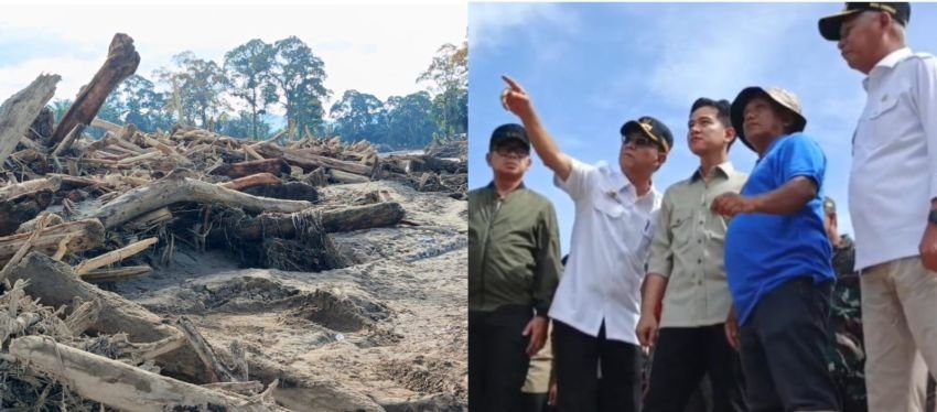 Wapres Gibran Tinjau Lokasi Pengungsian dan Gelondongan Kayu di Tapanuli Selatan, Dorong Pemulihan Pasca Banjir
