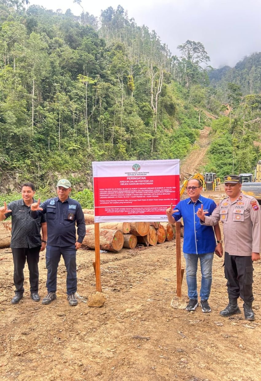 Gakkum Kehutanan Menang Praperadilan Kasus Penebangan Ilegal PHAT SD di Solok