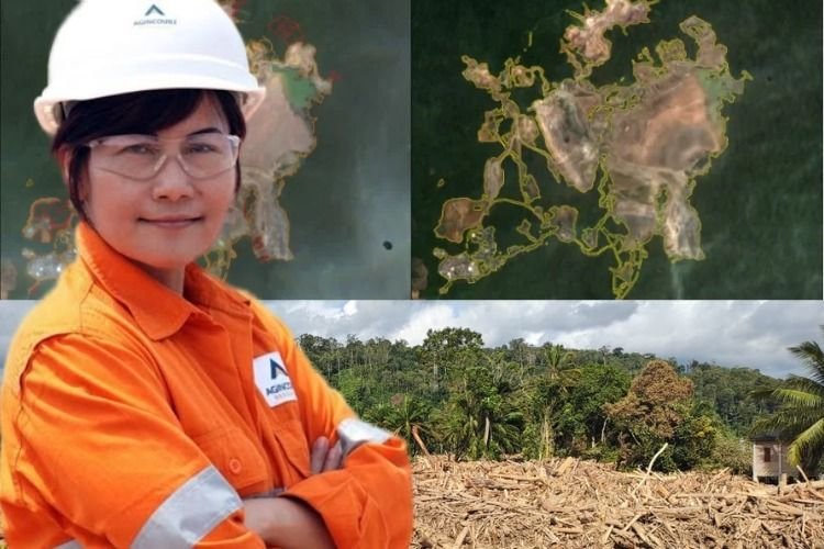 Dugaan Biang Kerok Banjir Bandang Tapsel Hingga Garap Lahan di Luar Konsesi dan Goyangan Polemik PTAR di Jawab Katarina