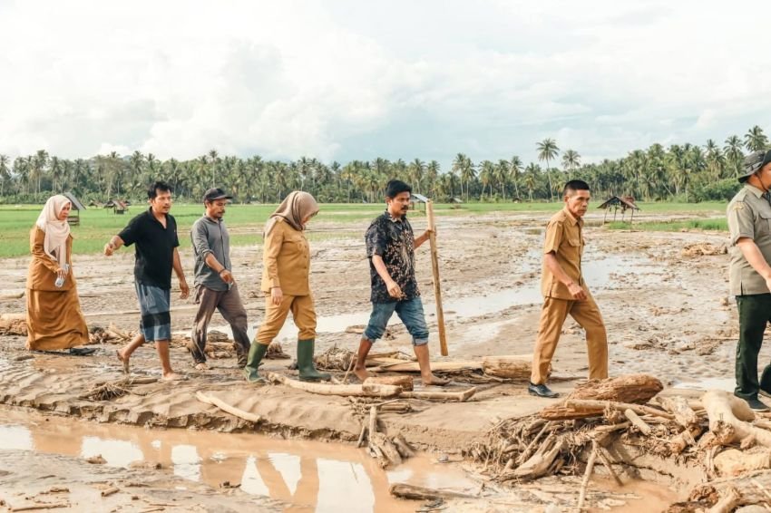 Kementan Turun Tangan! Wabup Madina Tinjau 4.498 Ha Sawah Rusak Akibat Banjir