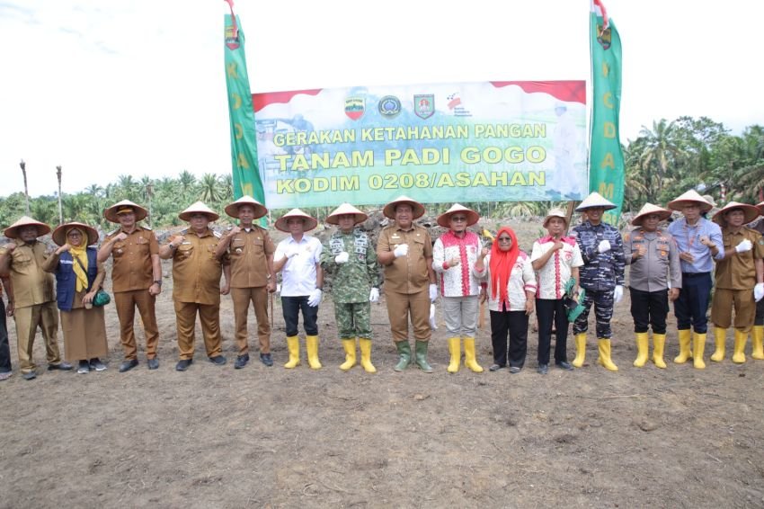 Sinergi Kodim 0208/Asahan dan Pemkab Asahan Perkuat Ketahanan Pangan lewat Tanam Padi Gogo di Bandar Pulau