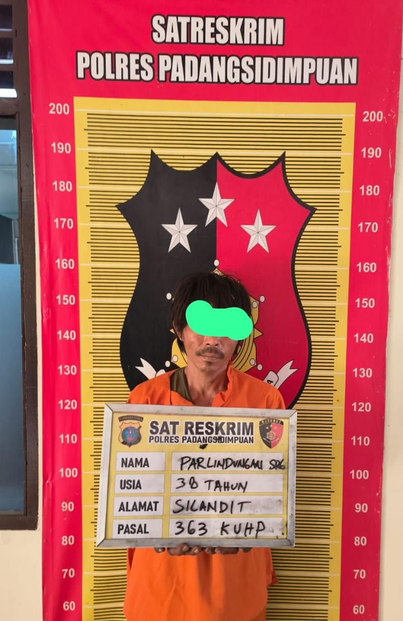 Tak Kapok Masuk Penjara, Residivis Curat Kembali Beraksi dan Ditangkap Satrekrim Polres Padangsidimpuan