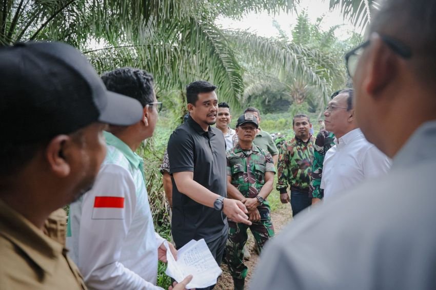 Gubernur Sumut Ubah Lahan Sawit Jadi Hunian Tetap Korban Bencana