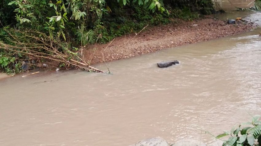 Penambangan Emas Ilegal Cemari Sungai, Warga Desa Tambangan Tonga Terancam Krisis Lingkungan