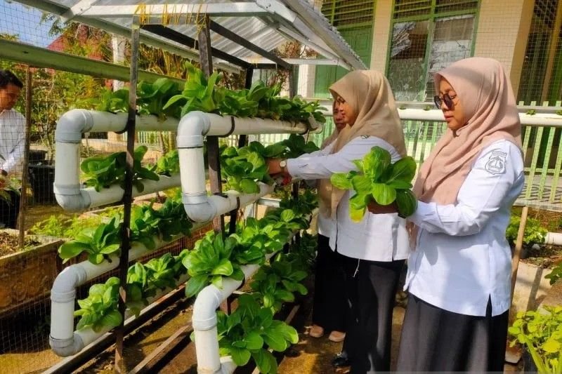 Dinas Pertanian dan Pangan Kota Solok, Mengembangkan pertanian Ramah Lingkungan