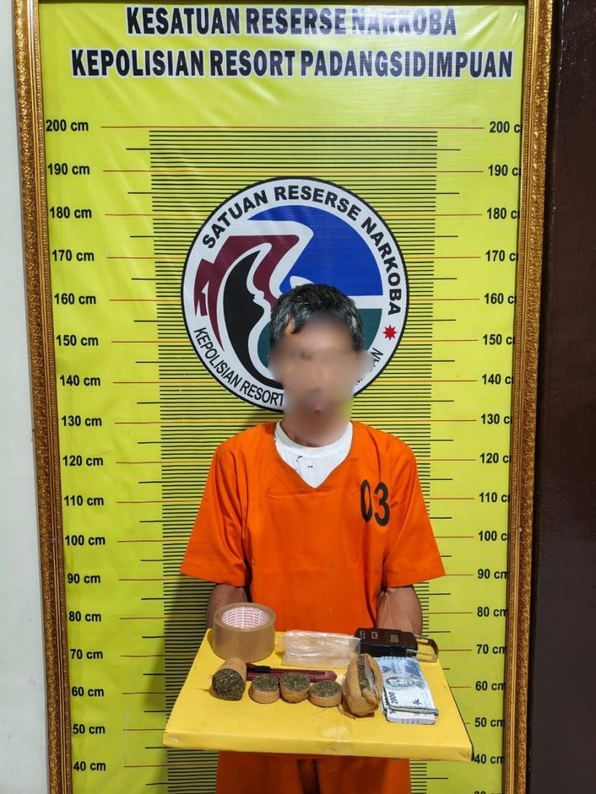 Edarkan Ganja Tengah Malam, Pria 51 Tahun Diciduk Satresnarkoba Polres Padangsidimpuan