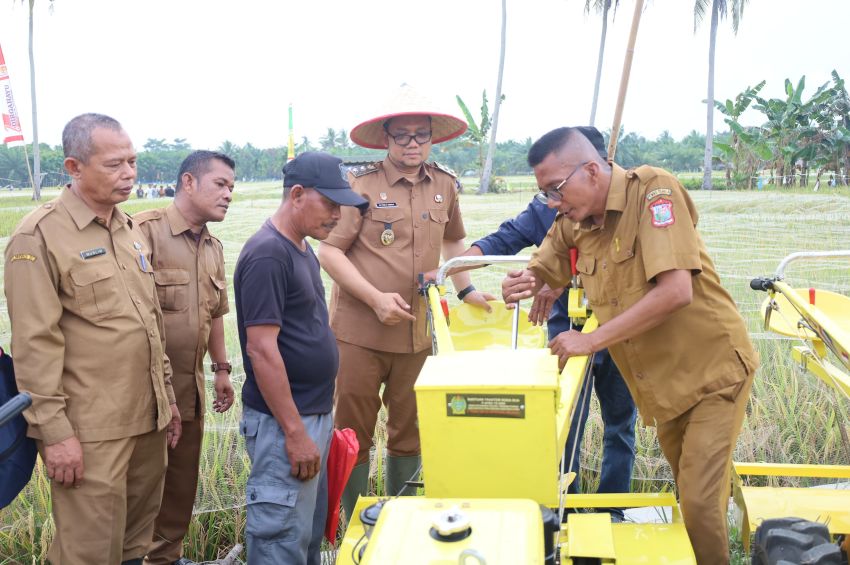 Pemko Dorong Ketahanan Pangan Tanjungbalai, Wakil Wali Kota : Produksi Lokal Terjamin
